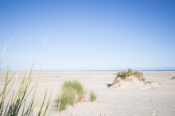 Dünenlandschaft Borkum Dünenlandschaft Borkum